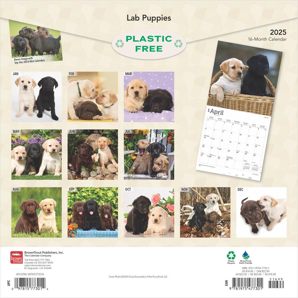 2025 Labrador Retriever Puppies Calendar