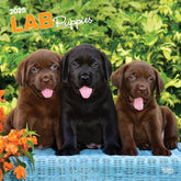 2025 Labrador Retriever Puppies Calendar