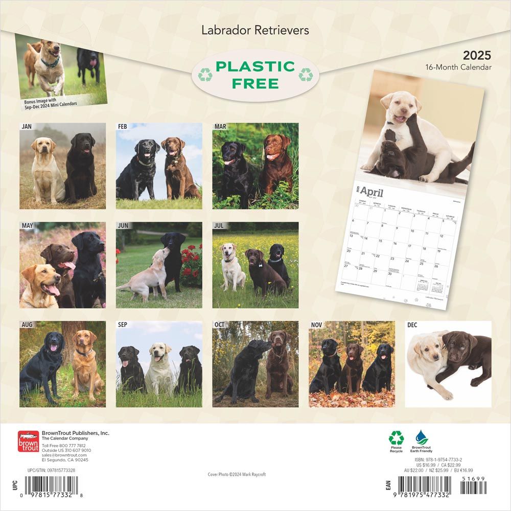 2025 Labrador Retrievers Calendar