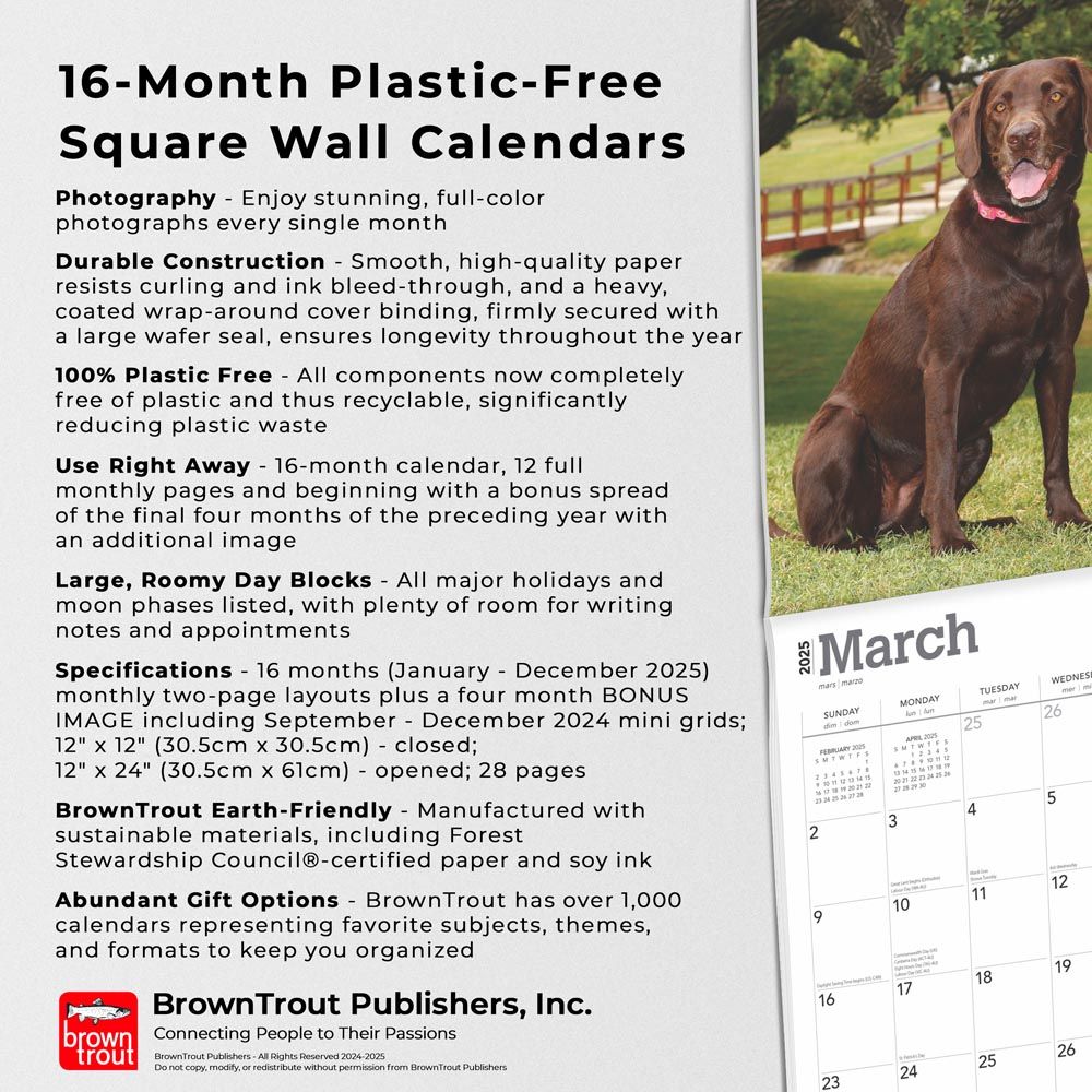 2025 Chocolate Labrador Retrievers Calendar