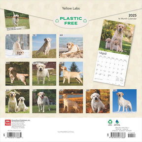 2025 Yellow Labrador Retrievers Calendar