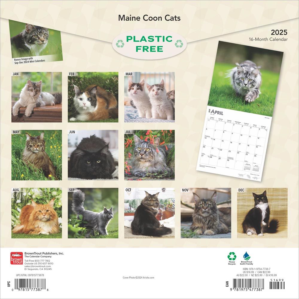 2025 Maine Coon Cats Calendar