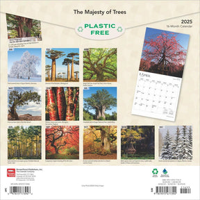 2025 Majesty Of Trees Calendar