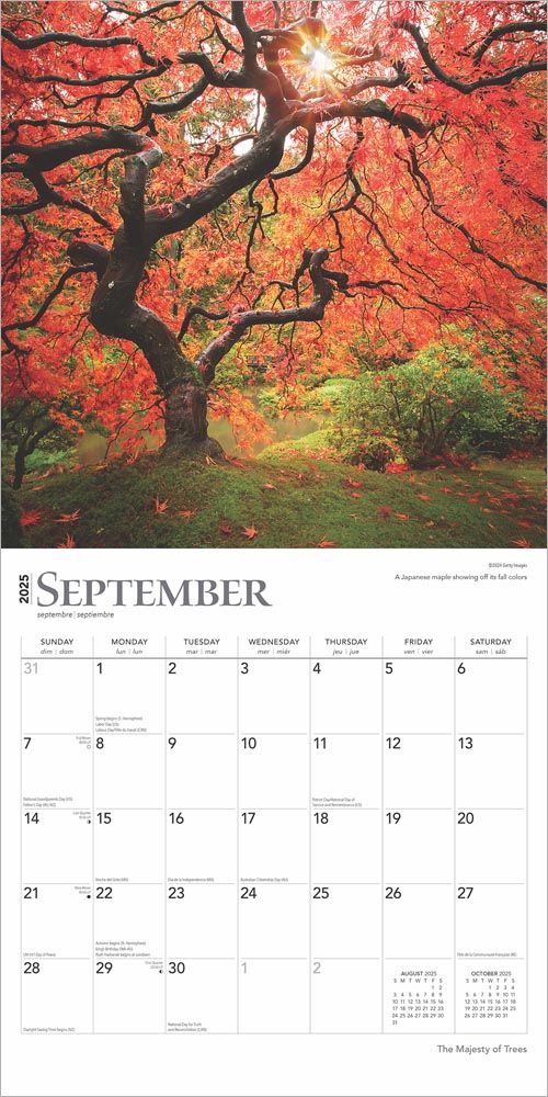 2025 Majesty Of Trees Calendar