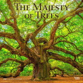 2025 Majesty Of Trees Calendar