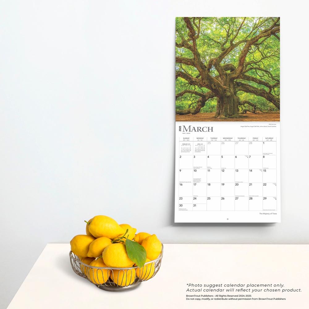 2025 Majesty Of Trees Calendar