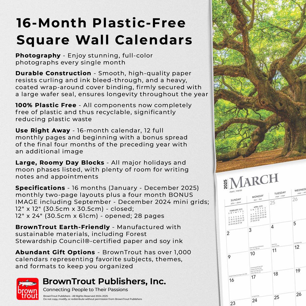 2025 Majesty Of Trees Calendar