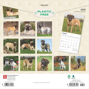 2025 Mastiffs Calendar