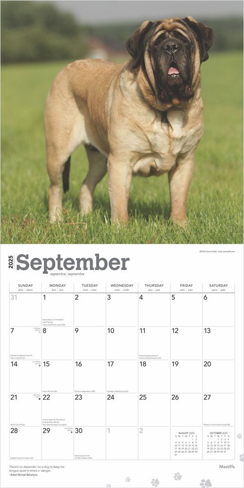 2025 Mastiffs Calendar