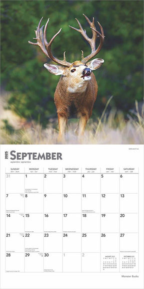 2025 Monster Bucks Calendar