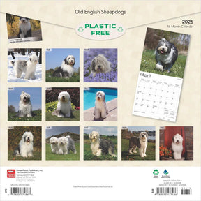 2025 Old English Sheepdogs Calendar