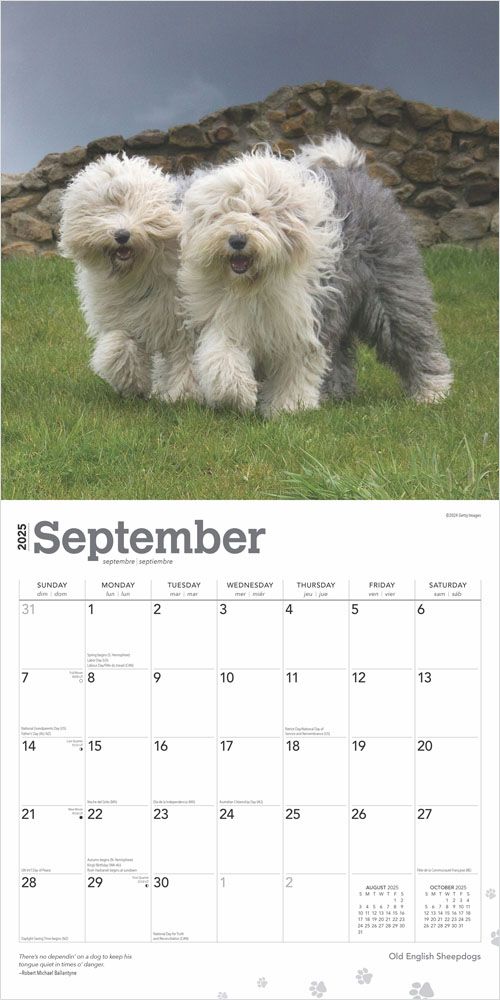 2025 Old English Sheepdogs Calendar