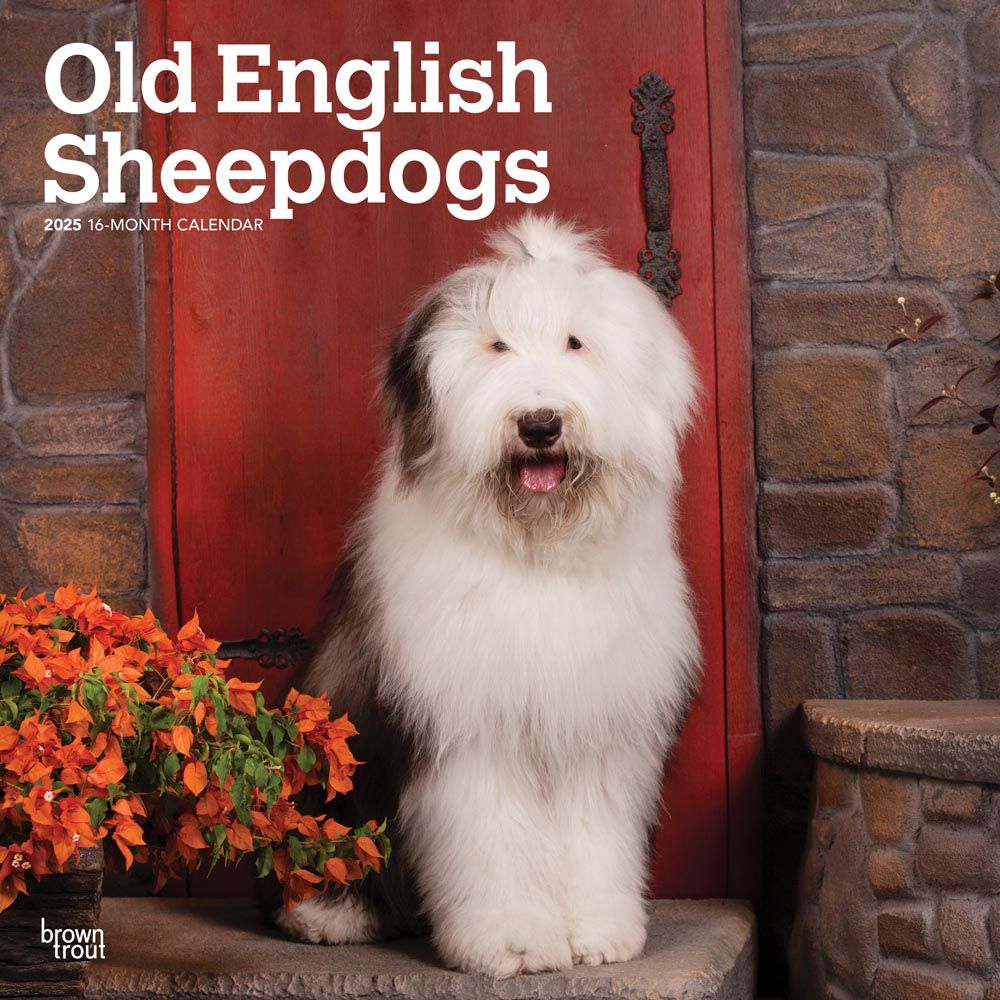 2025 Old English Sheepdogs Calendar