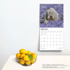 2025 Old English Sheepdogs Calendar