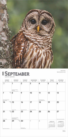 2025 Owls Calendar