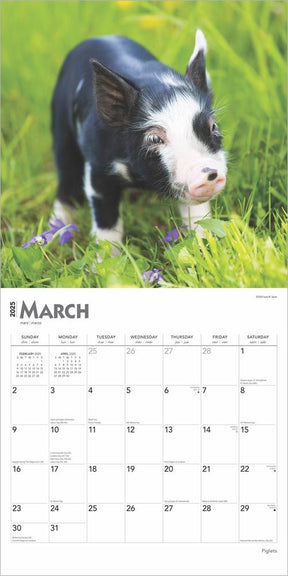 2025 Piglets Calendar