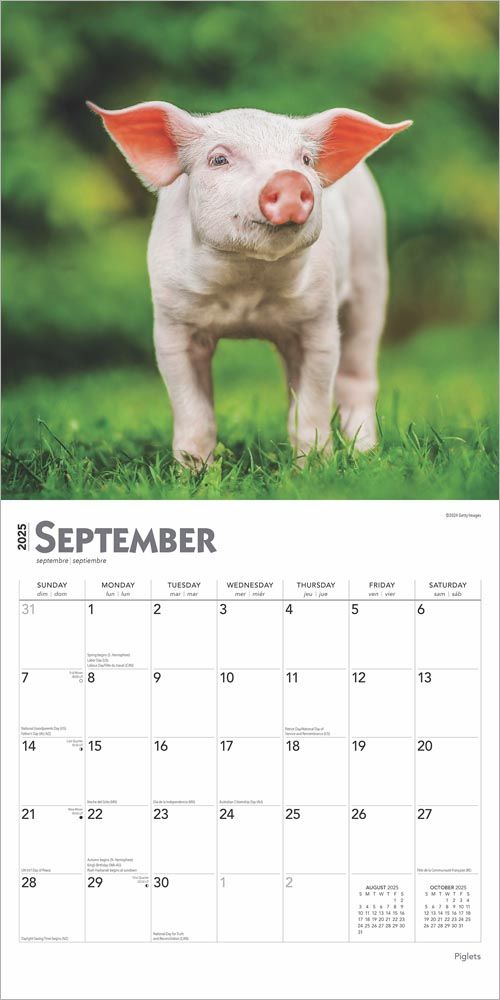 2025 Piglets Calendar