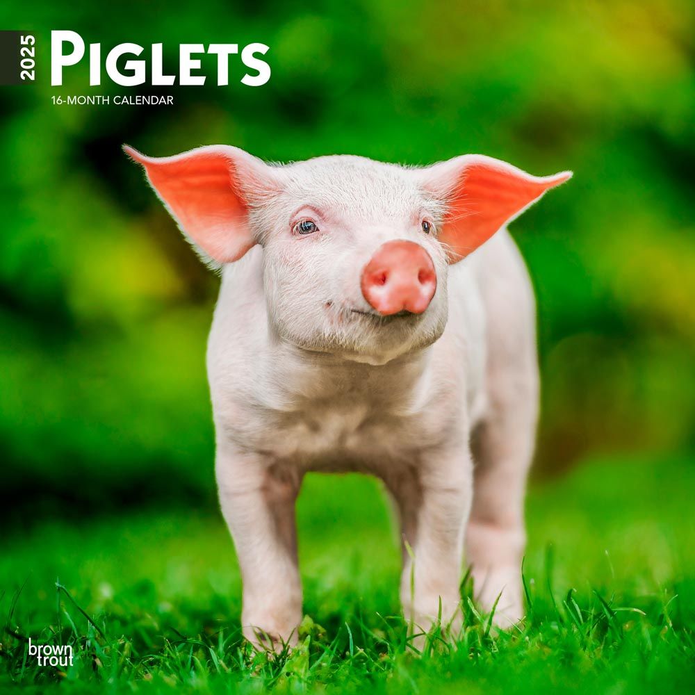 2025 Piglets Calendar