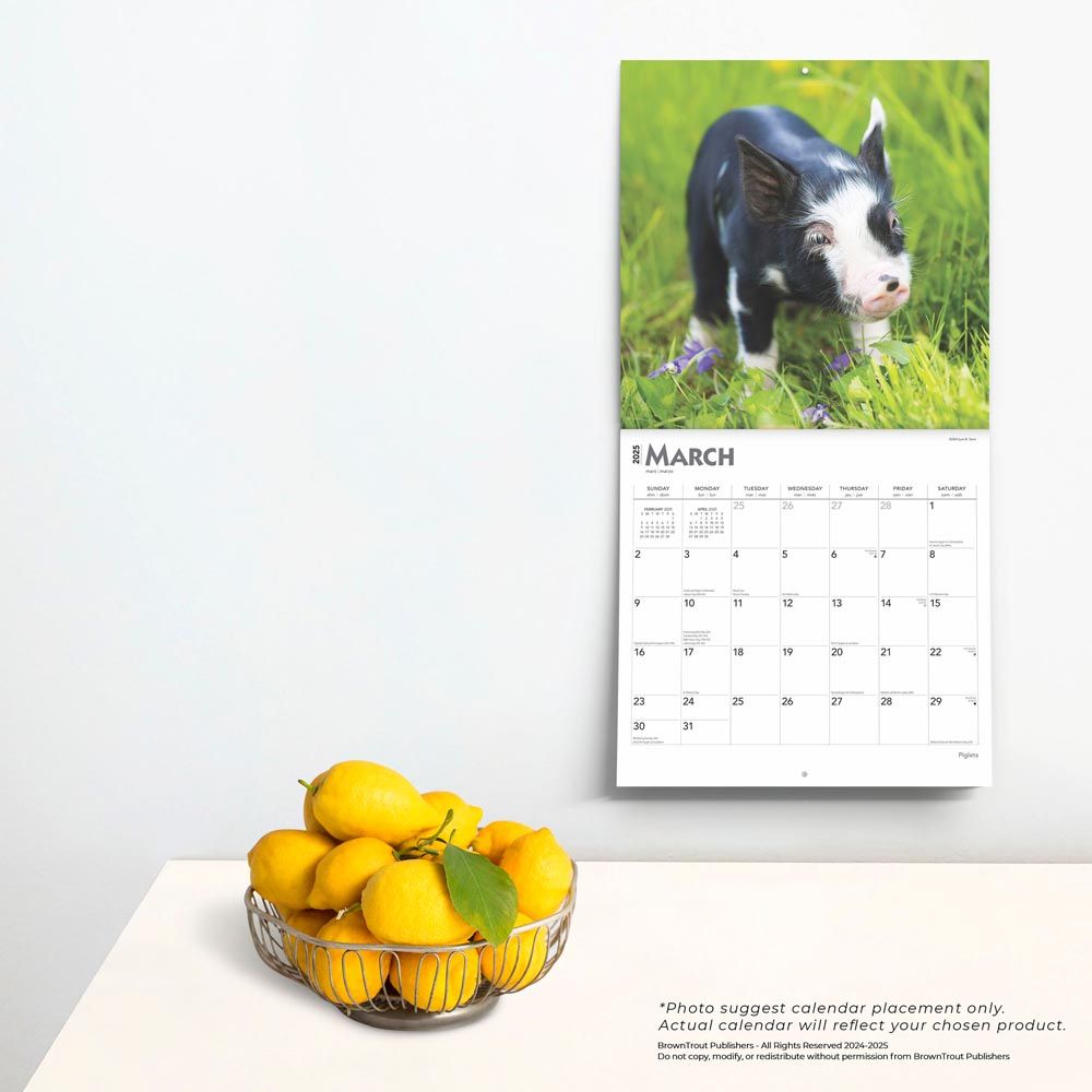 2025 Piglets Calendar