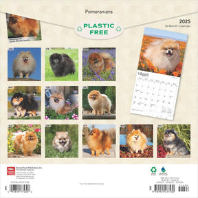 2025 Pomeranians Calendar