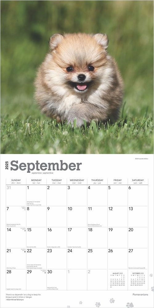 2025 Pomeranians Calendar