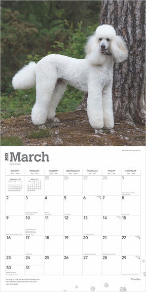 2025 Poodles Calendar