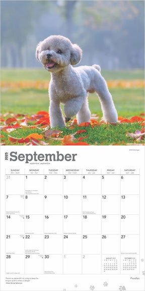 2025 Poodles Calendar