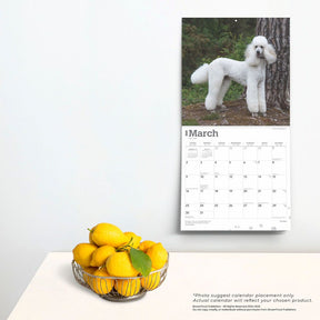 2025 Poodles Calendar