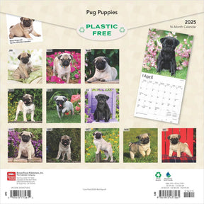 2025 Pug Puppies Calendar