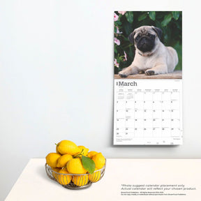 2025 Pug Puppies Calendar