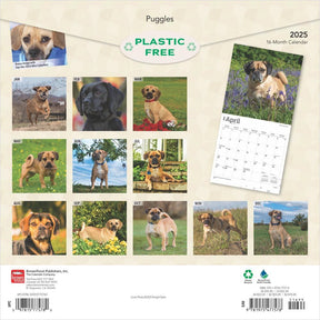 2025 Puggles Calendar