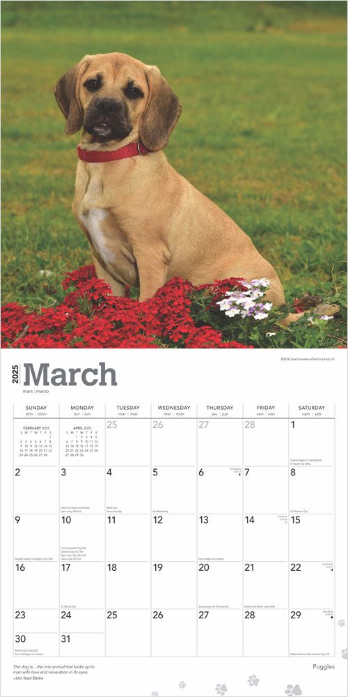 2025 Puggles Calendar