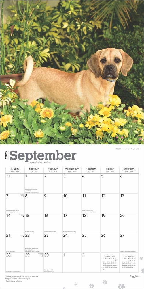 2025 Puggles Calendar