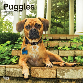 2025 Puggles Calendar