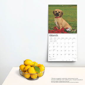 2025 Puggles Calendar