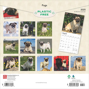 2025 Pugs Calendar