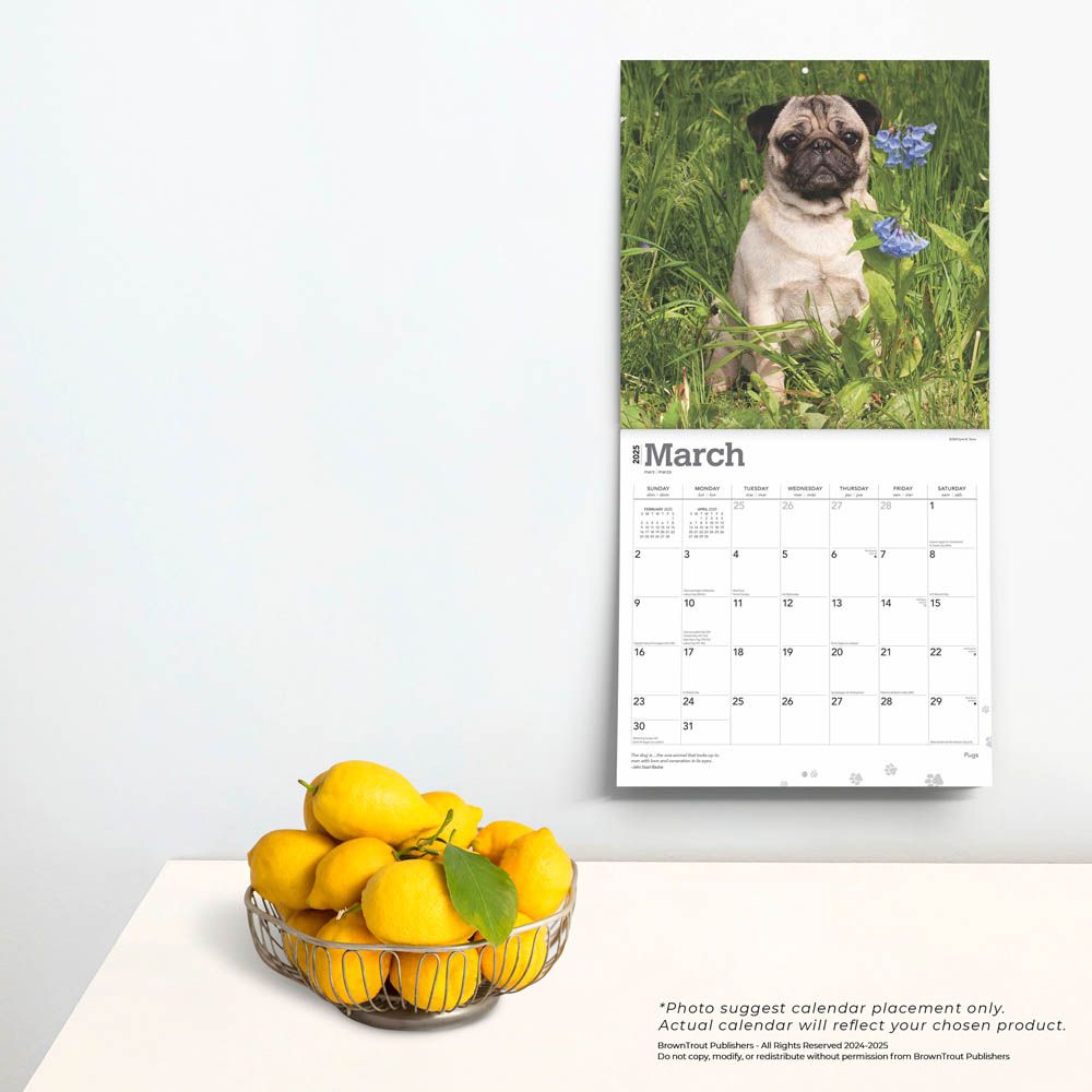 2025 Pugs Calendar