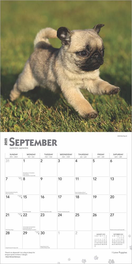 2025 I Love Puppies Calendar