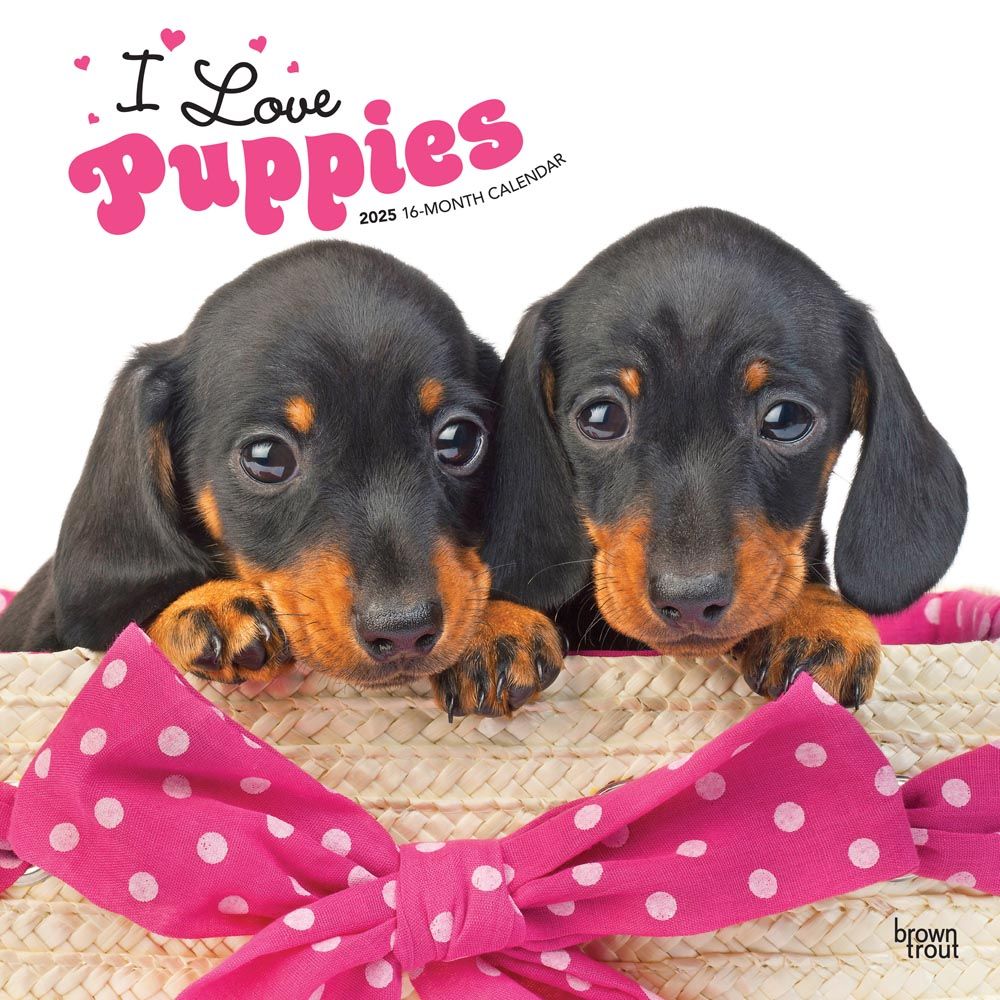 2025 I Love Puppies Calendar