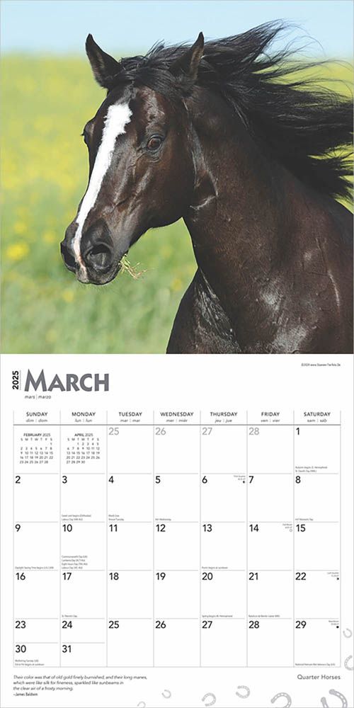 2025 Quarter Horses Calendar