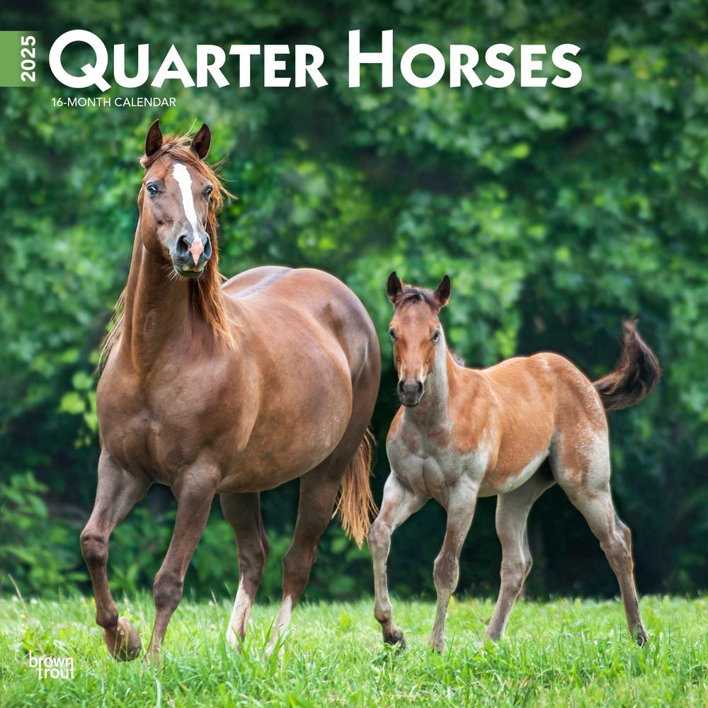 2025 Quarter Horses Calendar