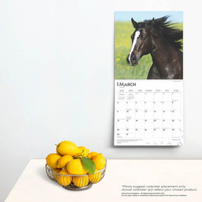 2025 Quarter Horses Calendar