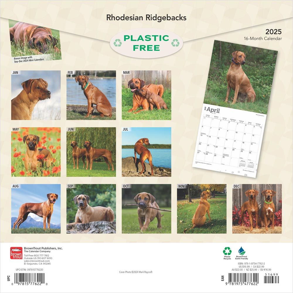 2025 Rhodesian Ridgebacks Calendar