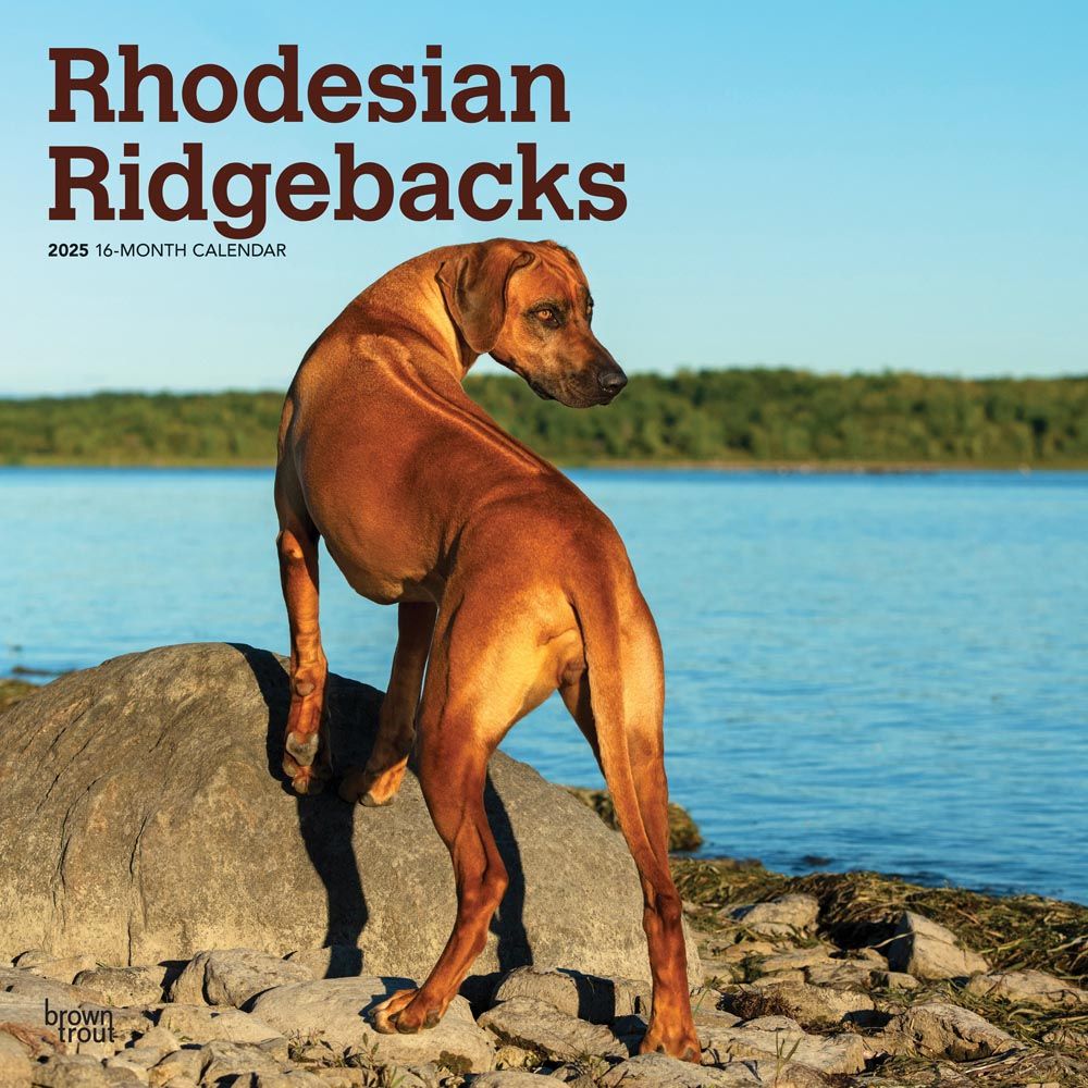 2025 Rhodesian Ridgebacks Calendar