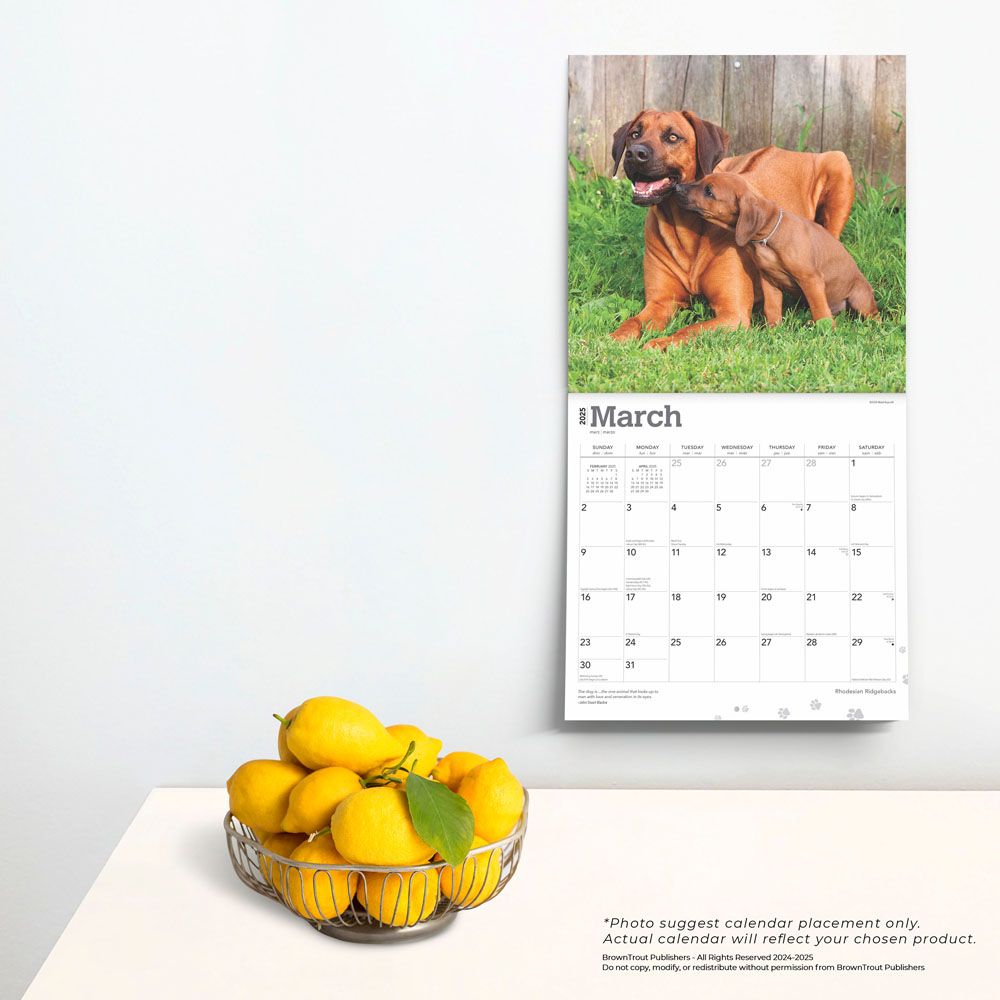 2025 Rhodesian Ridgebacks Calendar