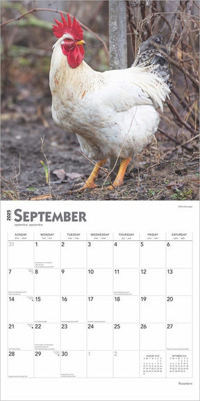 2025 Roosters Calendar