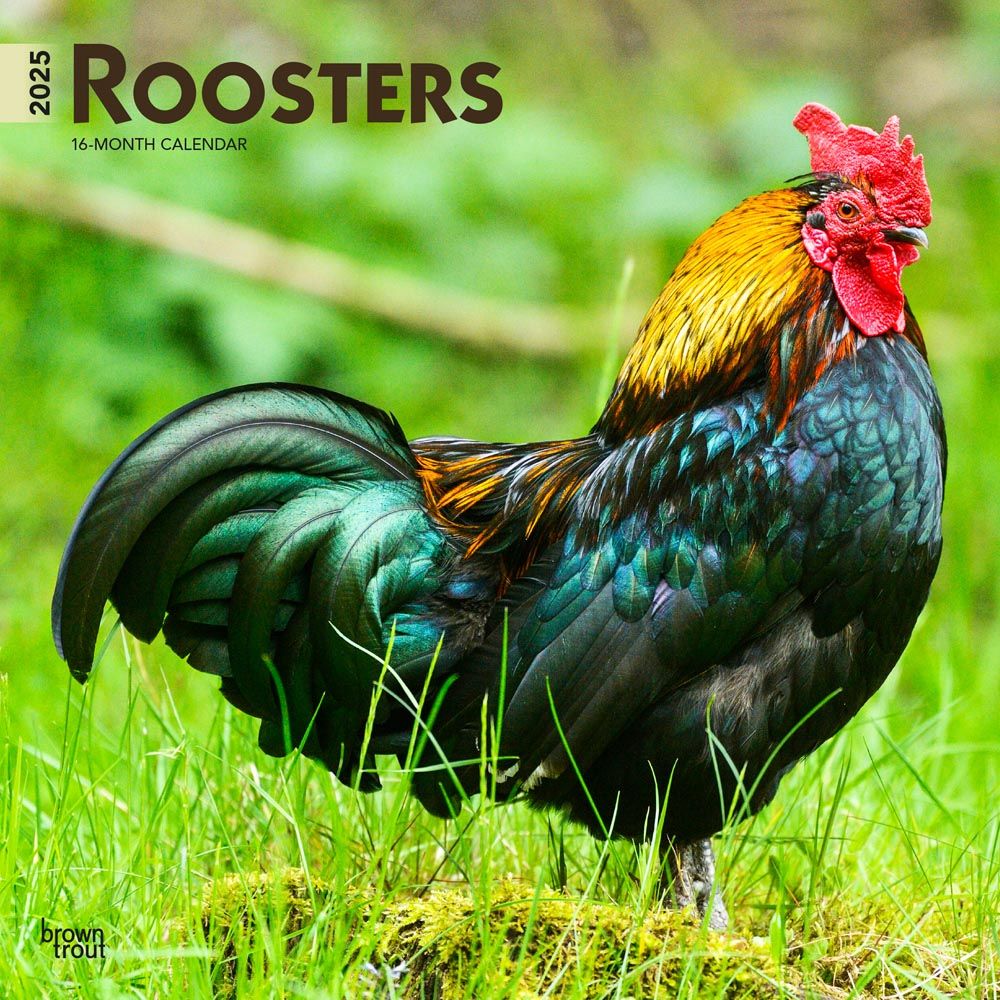 2025 Roosters Calendar