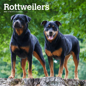 2025 Rottweilers Calendar