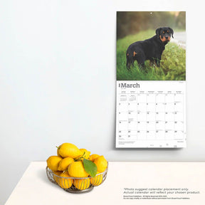 2025 Rottweilers Calendar