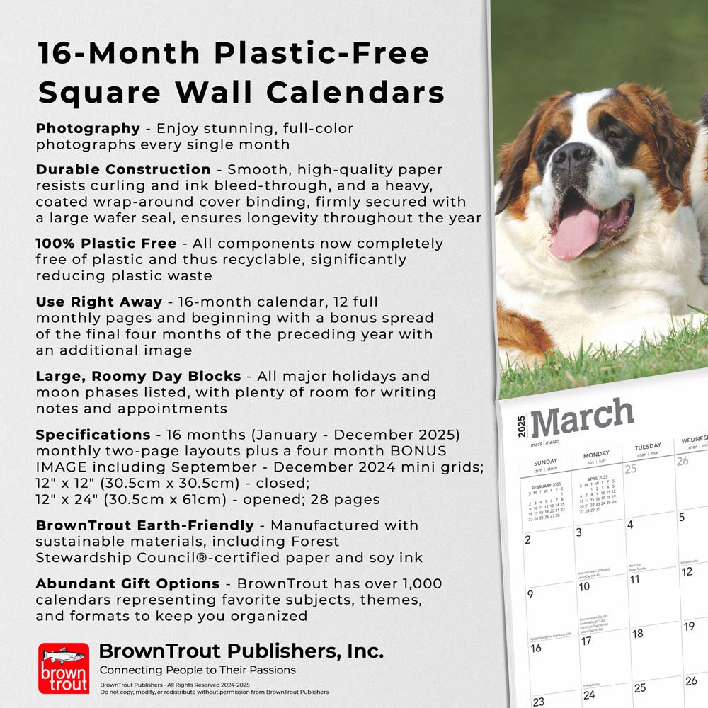 2025 Saint Bernards Calendar